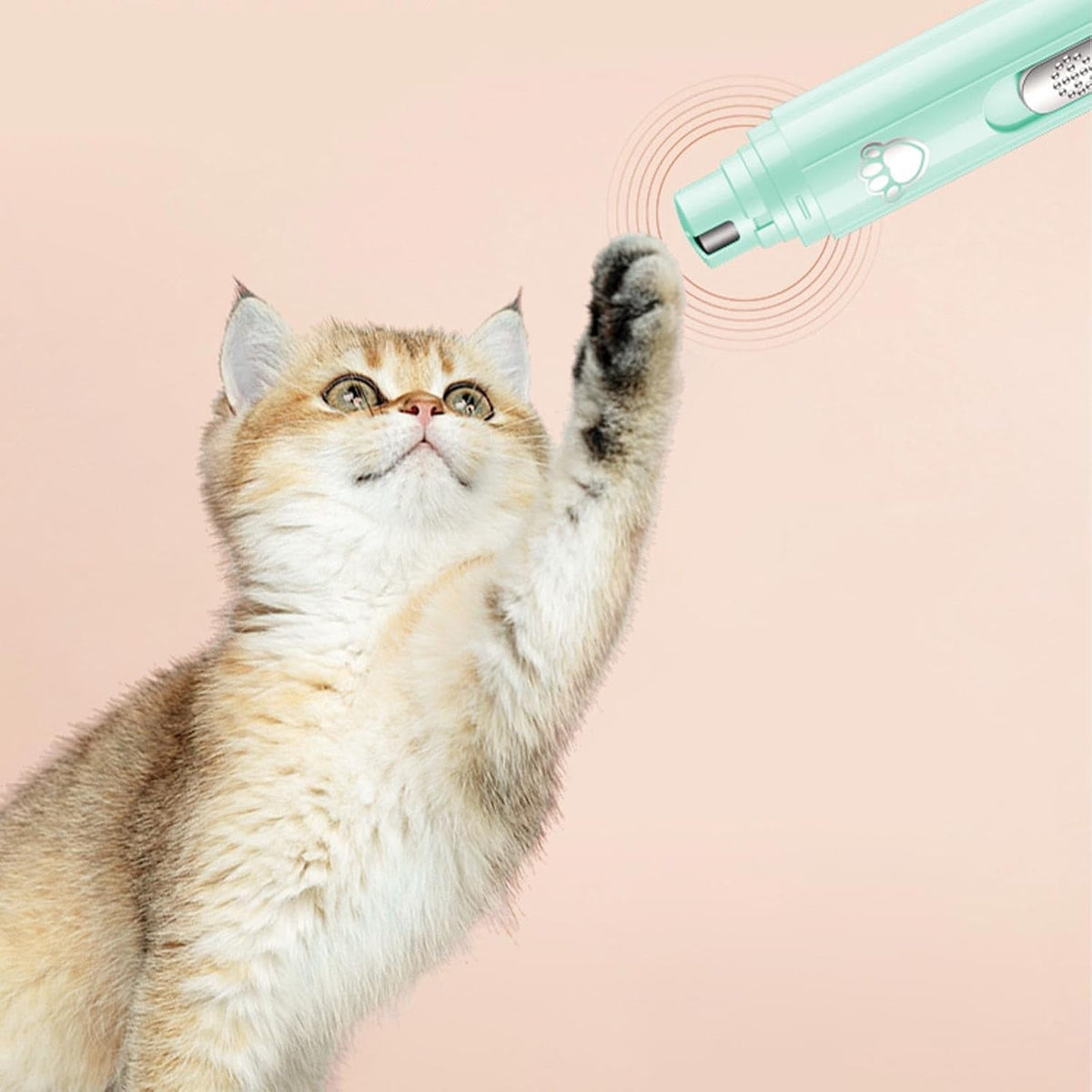 tress-Free Nail Trimmer for Happy Pets