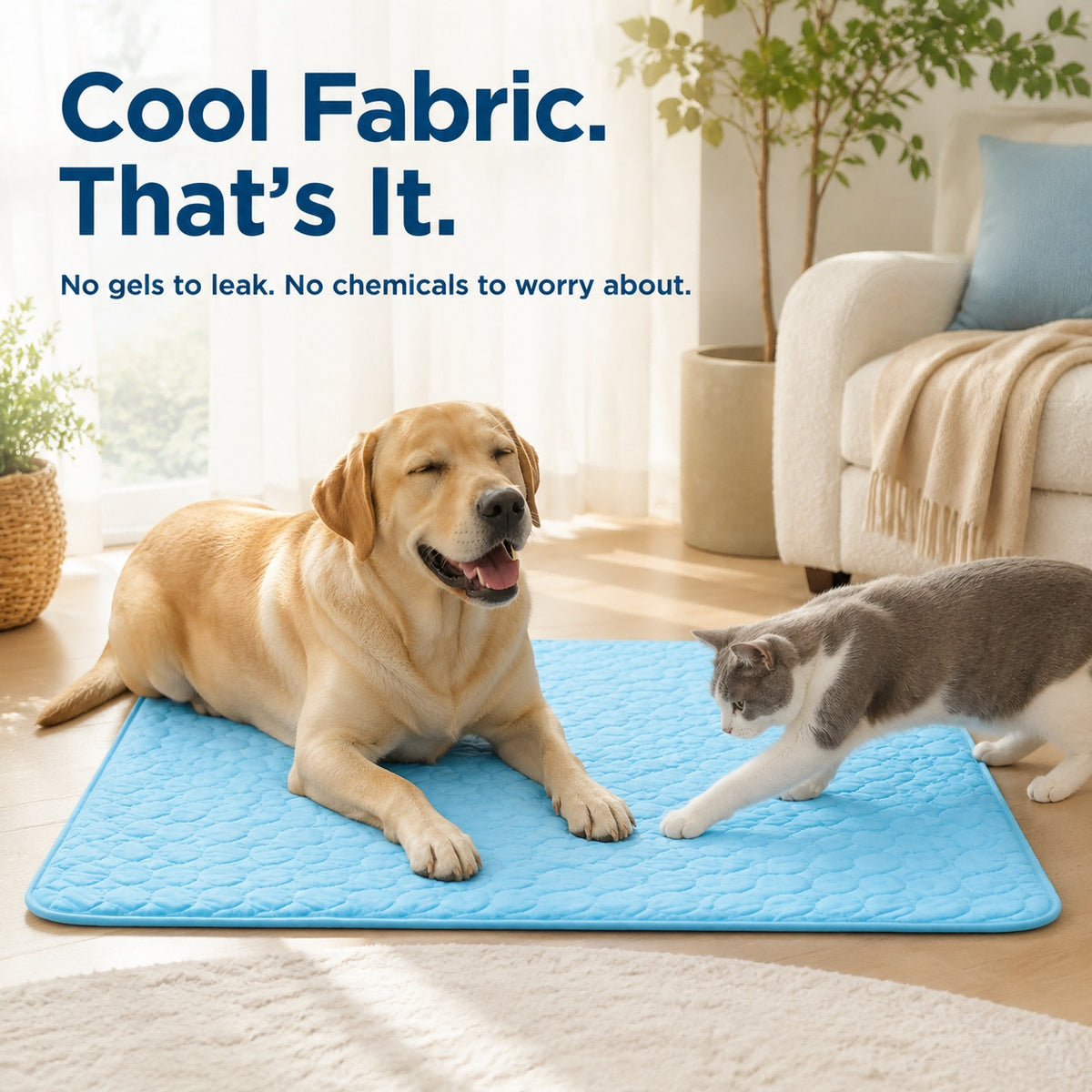 Keep Your Pet Cool All Summer Long