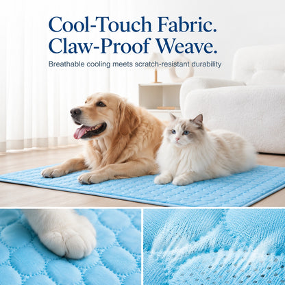 Keep Your Pet Cool All Summer Long