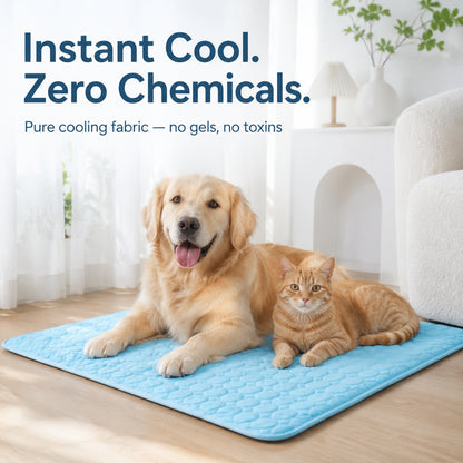 Keep Your Pet Cool All Summer Long