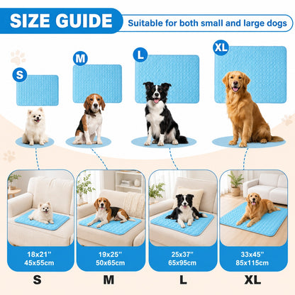 Keep Your Pet Cool All Summer Long