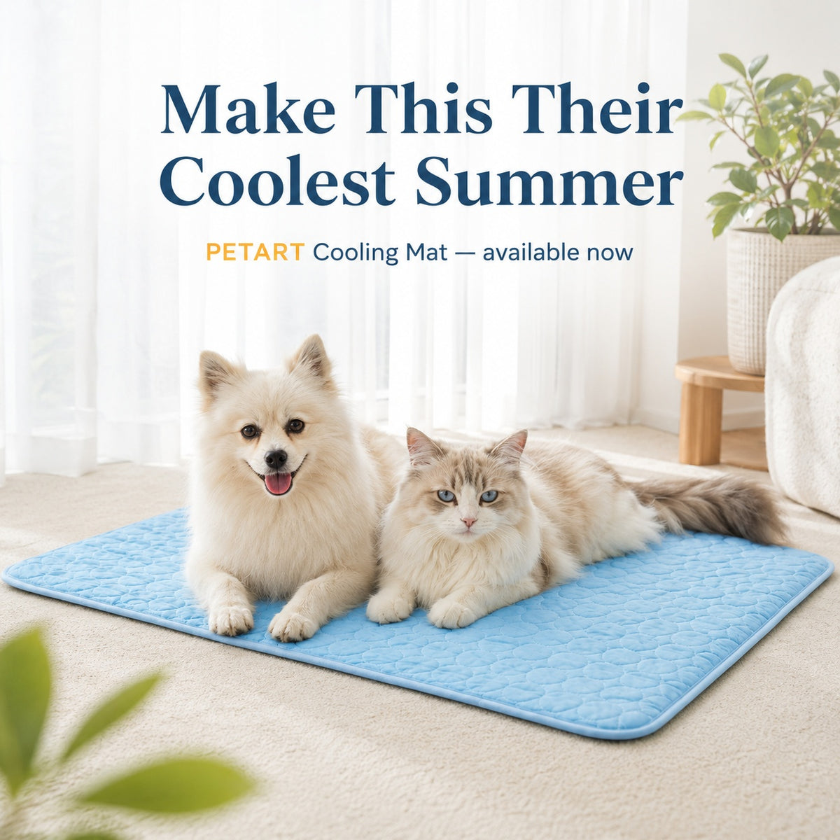 Keep Your Pet Cool All Summer Long