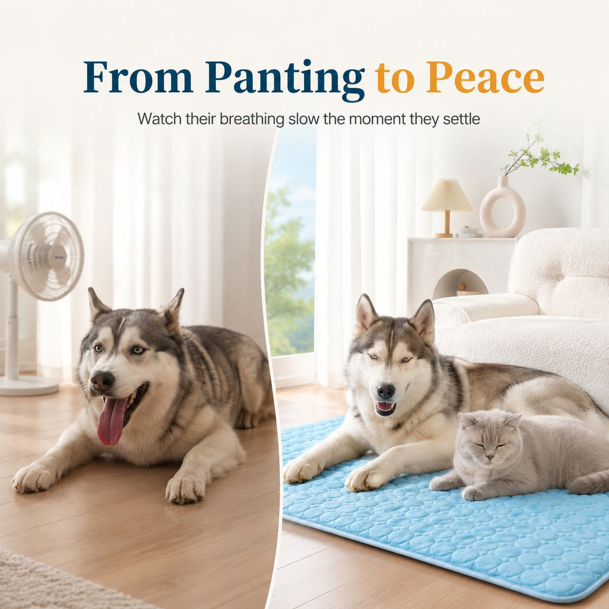 Keep Your Pet Cool All Summer Long